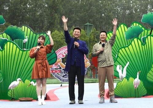 阿诺最新爆料新闻视频下载,揭秘幕后真相,视频内容深度解析